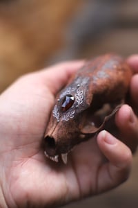 Image 3 of Teschio di Mustelide -granato-