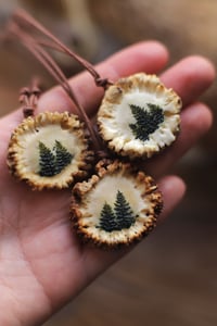 Image 3 of Collana Rosone di capriolo I