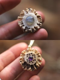 Image 5 of Collana Rosone di Capriolo II