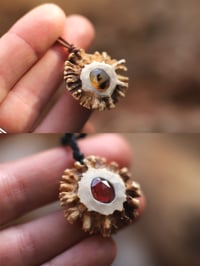 Image 4 of Collana Rosone di Capriolo II