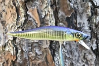 Image 11 of Custom Airbrushed Jerkbait TA 110 3325