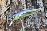 Image 13 of Custom Airbrushed Jerkbait TA 110 3325