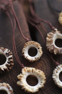 Image 3 of Collana con Rosone di capriolo -forato-