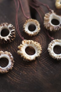 Image 2 of Collana con Rosone di capriolo -forato-