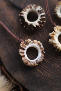 Image 4 of Collana con Rosone di capriolo -forato-