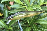 Image 8 of  Custom Airbrushed Jerkbait TA 110 3346