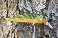 Image 13 of  Custom Airbrushed Jerkbait TA 110 3346