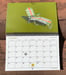 Image of 2026 Wall Calendar - PRE-ORDER