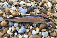 Image 1 of  Custom Airbrushed Jerkbait TA 110 3397