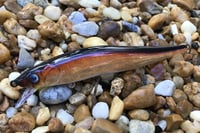 Image 2 of  Custom Airbrushed Jerkbait TA 110 3397