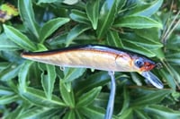 Image 11 of  Custom Airbrushed Jerkbait TA 110 3397