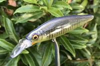 Image 10 of  Custom Airbrushed Jerkbait 3436