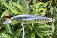 Image 12 of  Custom Airbrushed Jerkbait 3436
