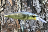 Image 13 of  Custom Airbrushed Jerkbait 3436