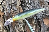 Image 16 of  Custom Airbrushed Jerkbait 3436