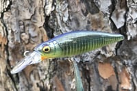 Image 19 of  Custom Airbrushed Jerkbait 3436