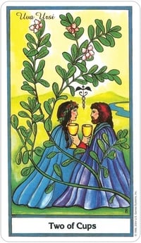Image 3 of The Herbal Tarot