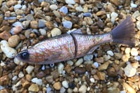 Image 6 of SPEEDBAITS Custom Airbrushed Glide Bait 3607