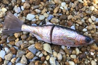 Image 10 of SPEEDBAITS Custom Airbrushed Glide Bait 3607