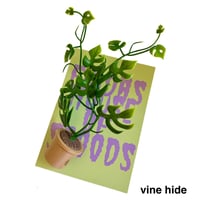 Image 8 of FHOS - Pot Plants