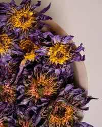 Image 3 of HEREAKA - Tea Range