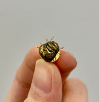 Kudzu Bug pin (preorder)