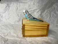 Image 14 of Custom Engraved Budgie Parakeet Handpainted To Your Photos Bird Mini Keepsake Urn Pet Portrait