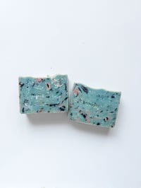 Image 2 of CITRUS BURST