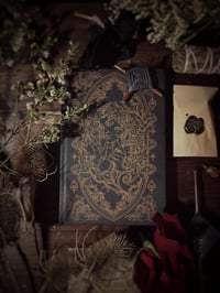 Image 2 of Coffret GYPSY GOTHIC 