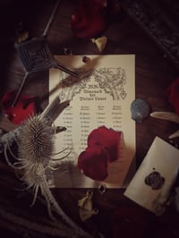 Image 4 of Coffret GYPSY GOTHIC 