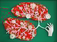 Image 1 of TIRAGE PHOTO Poumonts Verts