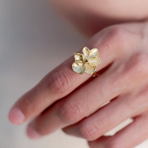 Image of Bague Aloès