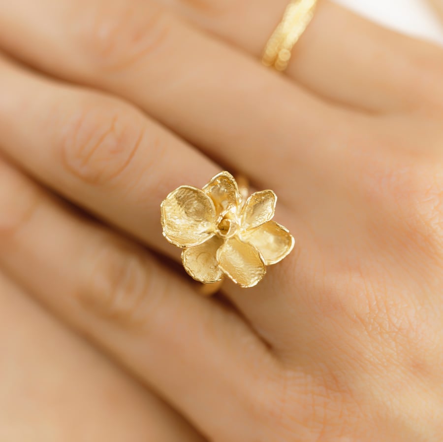 Image of Bague Aloès