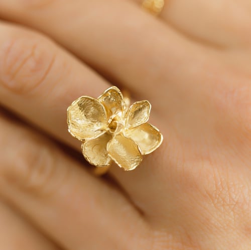 Image of Bague Aloès