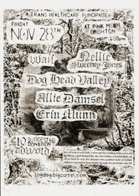 Trans Fundraiser @ Pink Moon