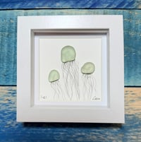 North Devon Seaglass Jellyfish 