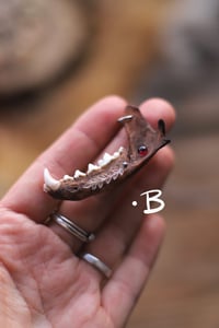 Image 3 of Collana con mandibola di mustelide e granato