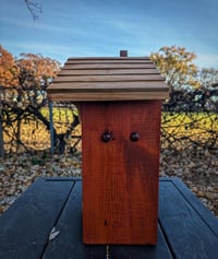 Image 4 of "KLEIN" Landjaeger Display Case