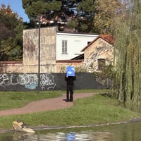 Image 2 of MINI SKY #55