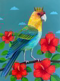 Carolina Parakeet Red Hibiscus