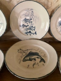 Image 10 of Service poisson Moulin Des Loups et Orchies 