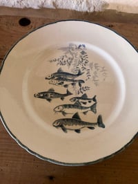 Image 9 of Service poisson Moulin Des Loups et Orchies 