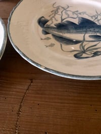 Image 14 of Service poisson Moulin Des Loups et Orchies 