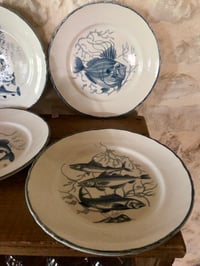 Image 15 of Service poisson Moulin Des Loups et Orchies 