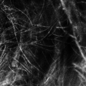 Image of Hadopelagyal – Haematophoryktos CD