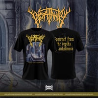 Insatanity - Divine Decomposition T-SHIRT