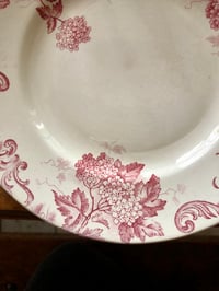 Image 2 of Assiettes « boules de neige » Saint Amand et Hamage