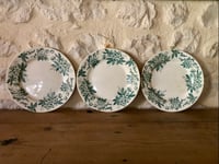 Image 1 of Assiettes plates « Anémones » Saint Amandinoise 
