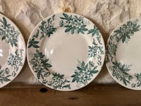 Image 2 of Assiettes plates « Anémones » Saint Amandinoise 
