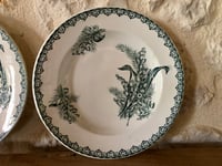 Image 2 of Assiettes creuses « Muguet » Saint Amandinoise 